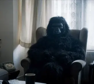 Gorilla in an arm chair